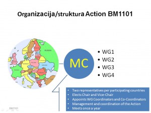 bol 2012 organizacijska struktura